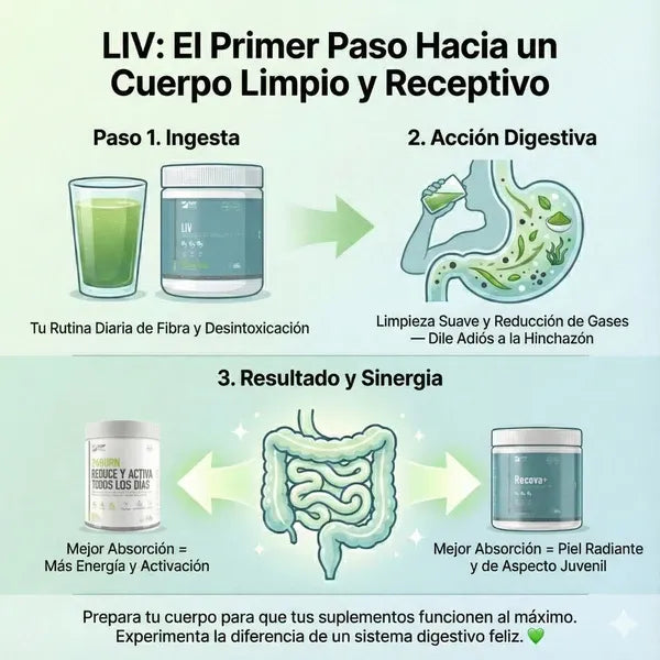 LIV FWP CON FIBRA - PROBIÓTICOS PARA LA FLORA INTESTINAL