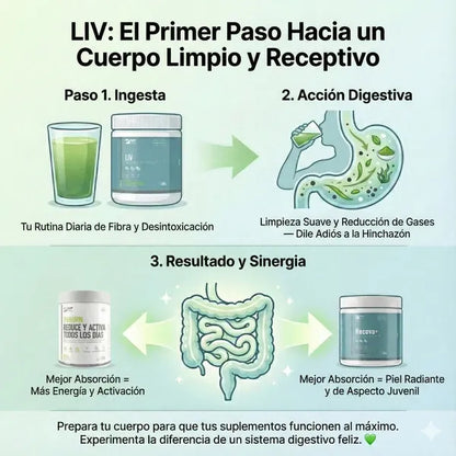 LIV FWP CON FIBRA - PROBIÓTICOS PARA LA FLORA INTESTINAL